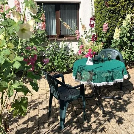 In The Seeigel Appartement